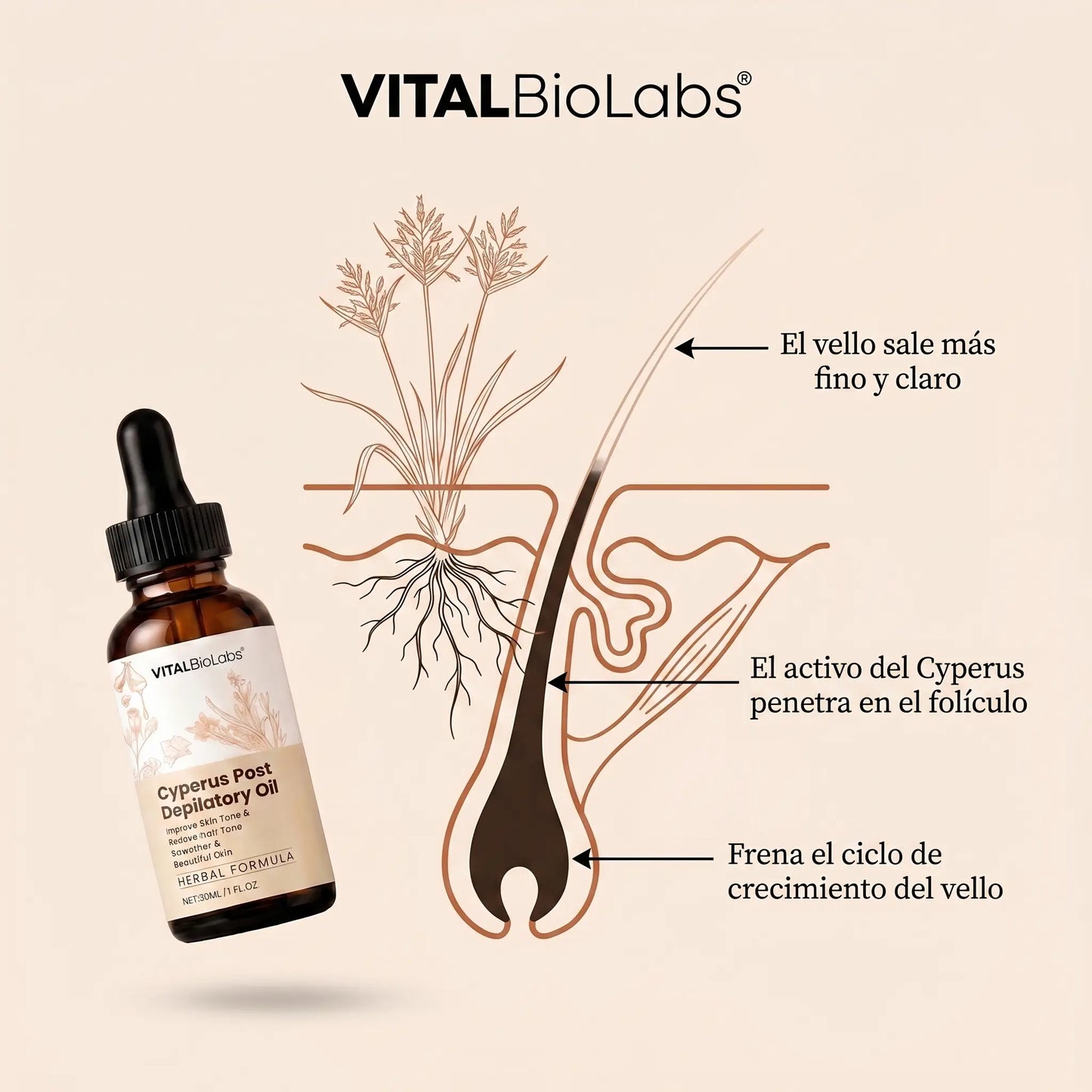 VitalBioLabs™ Aceite Reductor de Vello No Deseado